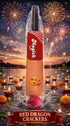 BAT & BALL